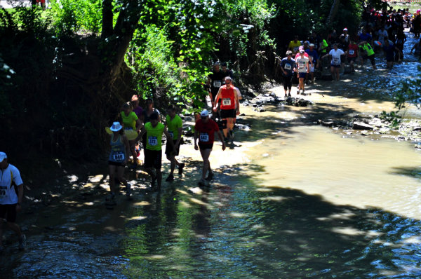 jungle-run-vesoul-2015  (219)