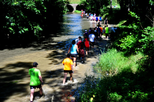 jungle-run-vesoul-2015  (233)