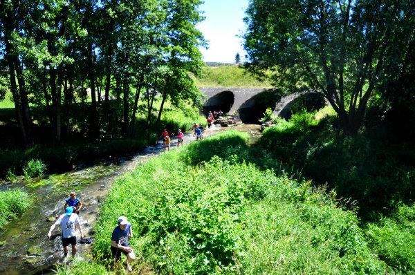 jungle-run-vesoul-2015  (251)